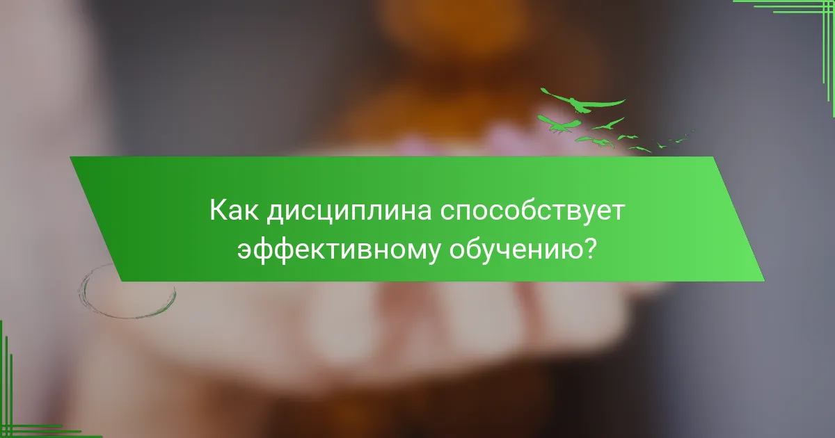 Как дисциплина способствует эффективному обучению?