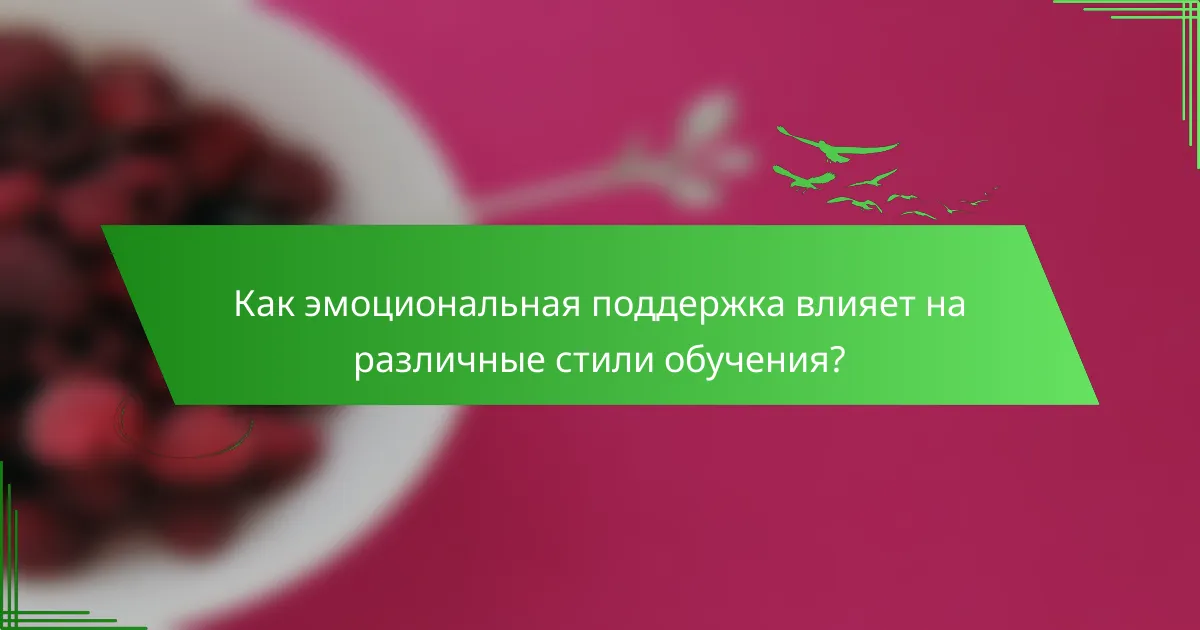 Как эмоциональная поддержка влияет на различные стили обучения?