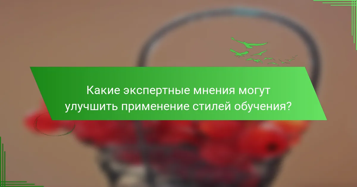Какие экспертные мнения могут улучшить применение стилей обучения?