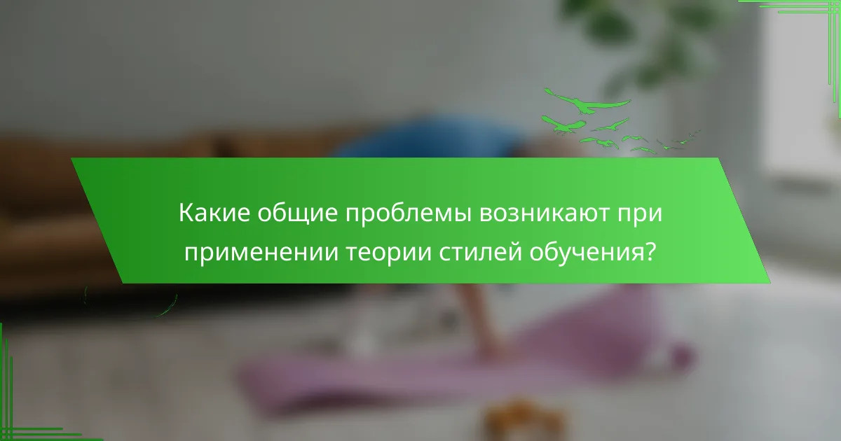 Какие общие проблемы возникают при применении теории стилей обучения?