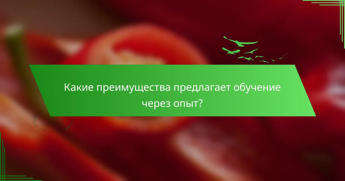 Какие преимущества предлагает обучение через опыт?