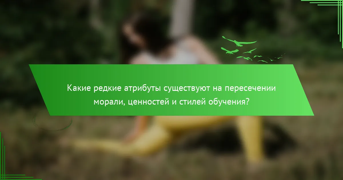 Какие редкие атрибуты существуют на пересечении морали, ценностей и стилей обучения?
