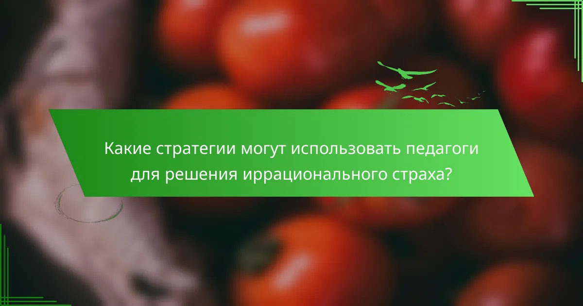 Какие стратегии могут использовать педагоги для решения иррационального страха?