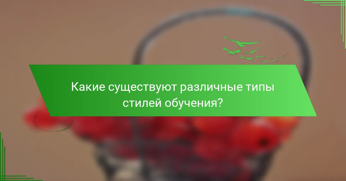 Какие существуют различные типы стилей обучения?
