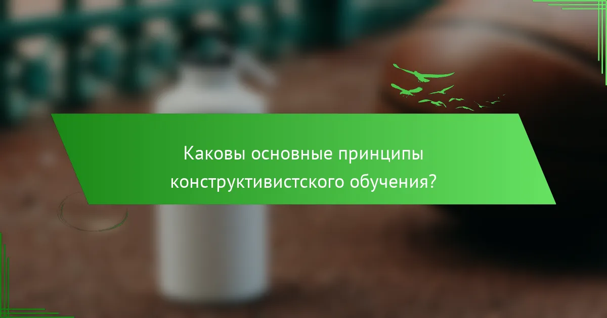 Каковы основные принципы конструктивистского обучения?