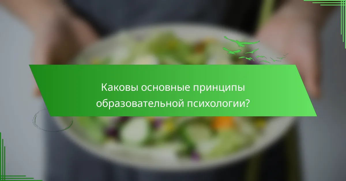 Каковы основные принципы образовательной психологии?