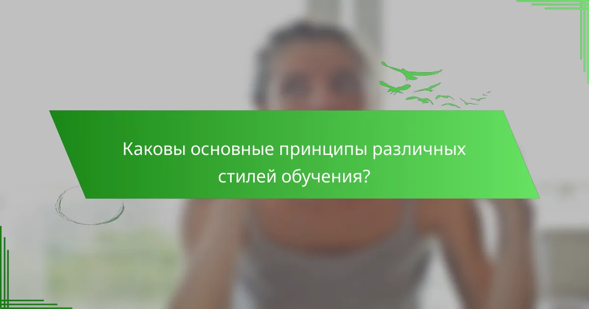Каковы основные принципы различных стилей обучения?