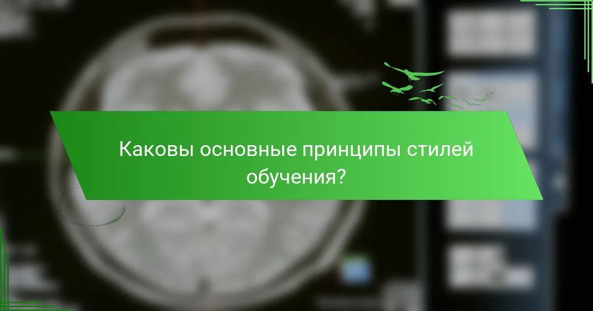 Каковы основные принципы стилей обучения?