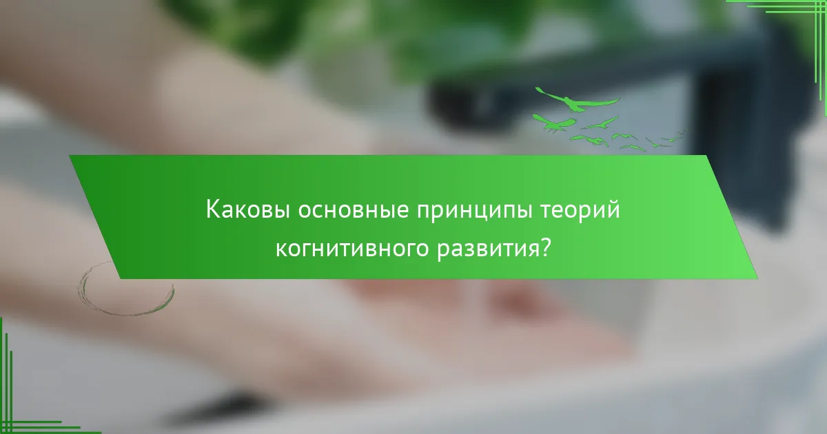 Каковы основные принципы теорий когнитивного развития?