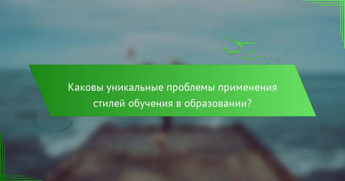 Каковы уникальные проблемы применения стилей обучения в образовании?