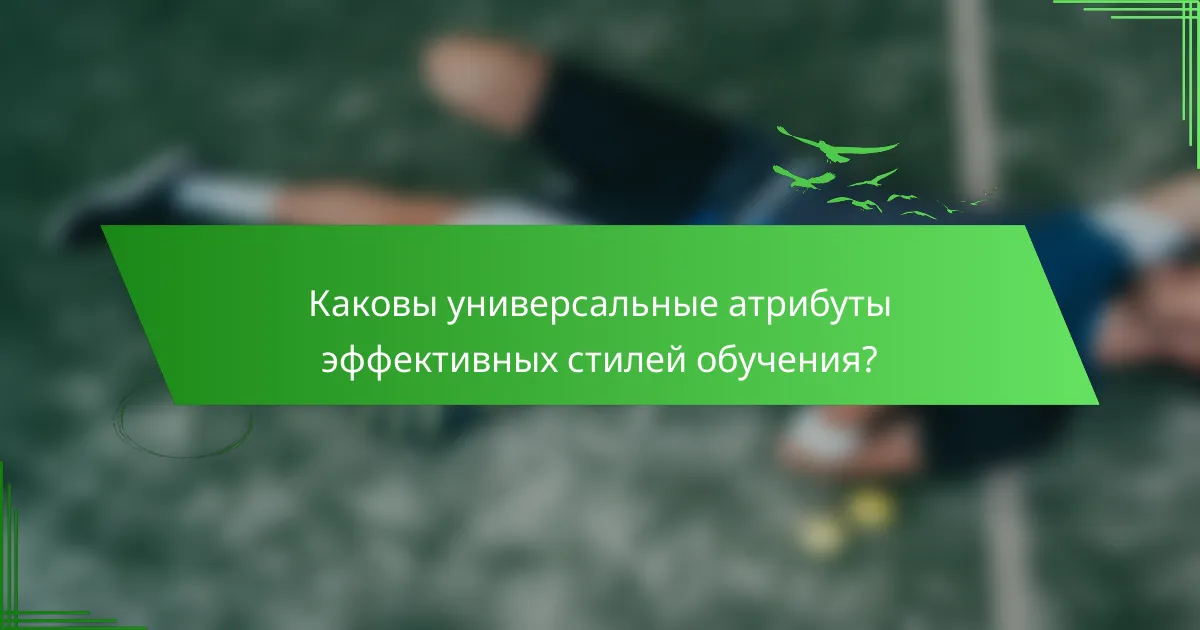 Каковы универсальные атрибуты эффективных стилей обучения?
